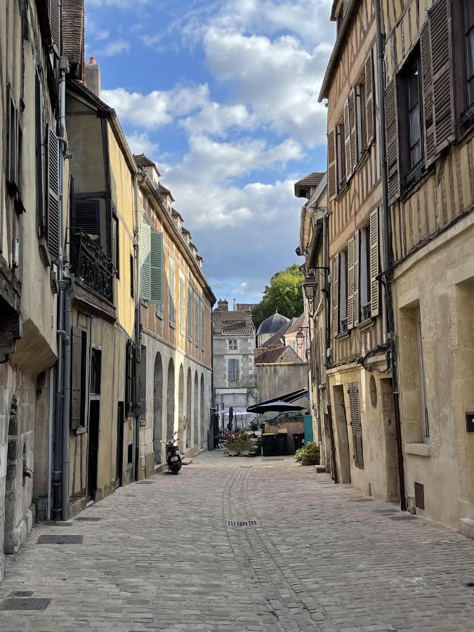 Appartement Le Saint-Nicolas Auxerre Les Quais 外观 照片