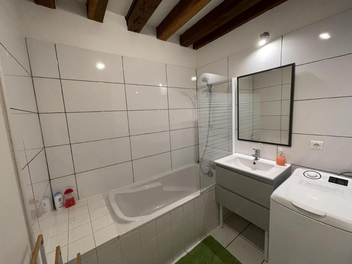 Appartement Le Saint-Nicolas Auxerre Les Quais 客房 照片